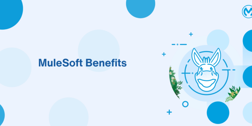 MuleSoft Benefits