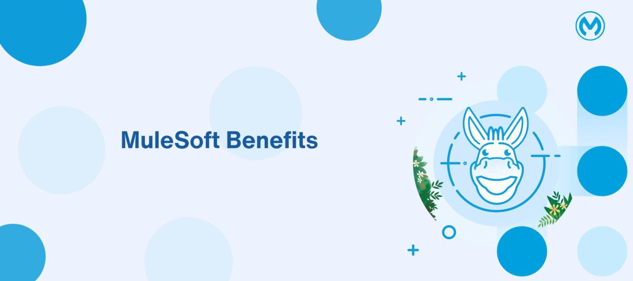 MuleSoft Benefits